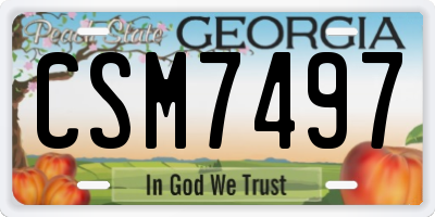 GA license plate CSM7497