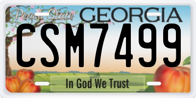 GA license plate CSM7499