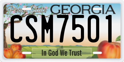 GA license plate CSM7501