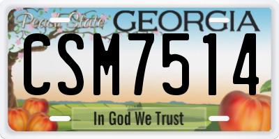 GA license plate CSM7514