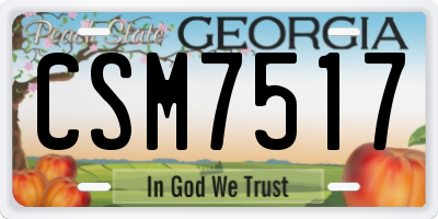 GA license plate CSM7517