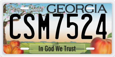GA license plate CSM7524