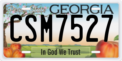 GA license plate CSM7527