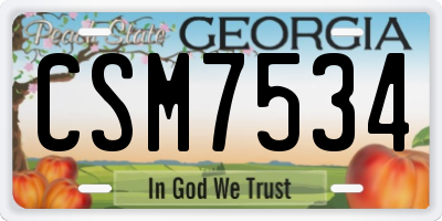 GA license plate CSM7534
