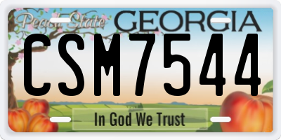 GA license plate CSM7544