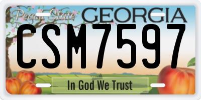 GA license plate CSM7597