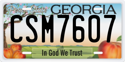 GA license plate CSM7607