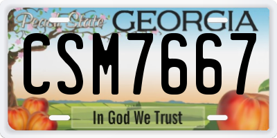 GA license plate CSM7667