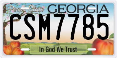 GA license plate CSM7785