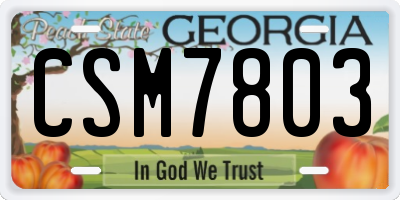 GA license plate CSM7803