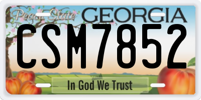 GA license plate CSM7852