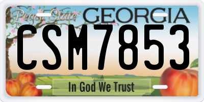 GA license plate CSM7853