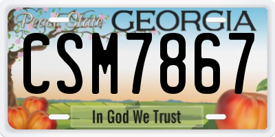 GA license plate CSM7867
