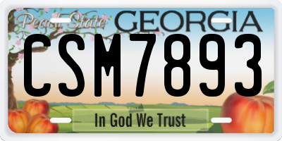 GA license plate CSM7893