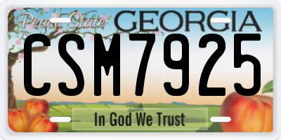 GA license plate CSM7925