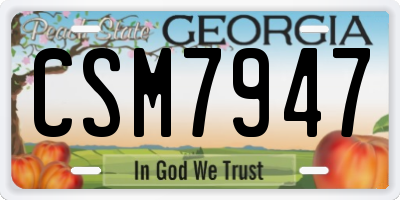 GA license plate CSM7947