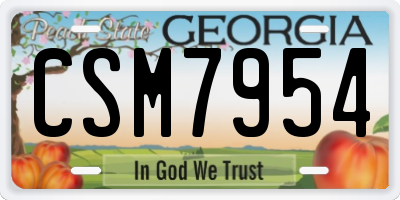 GA license plate CSM7954