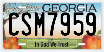 GA license plate CSM7959