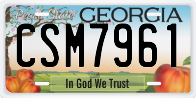 GA license plate CSM7961