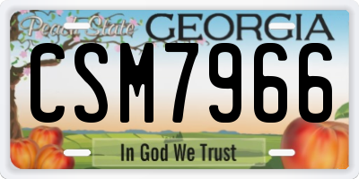 GA license plate CSM7966