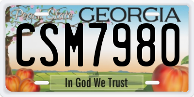 GA license plate CSM7980