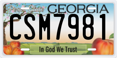 GA license plate CSM7981
