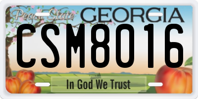 GA license plate CSM8016