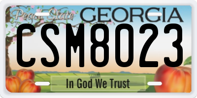 GA license plate CSM8023
