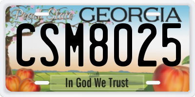 GA license plate CSM8025