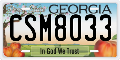 GA license plate CSM8033