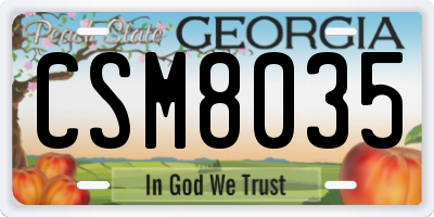 GA license plate CSM8035