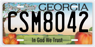 GA license plate CSM8042