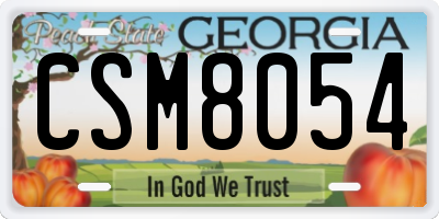 GA license plate CSM8054