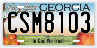 GA license plate CSM8103