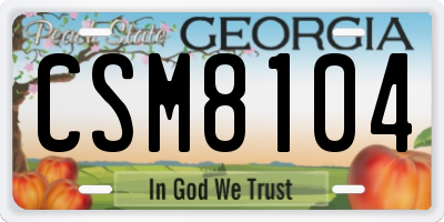 GA license plate CSM8104
