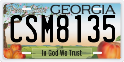 GA license plate CSM8135