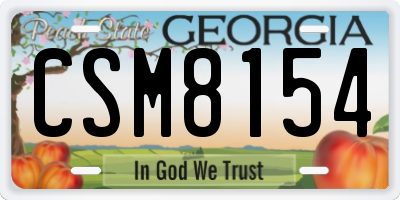 GA license plate CSM8154