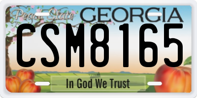GA license plate CSM8165