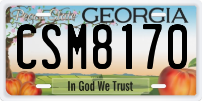 GA license plate CSM8170