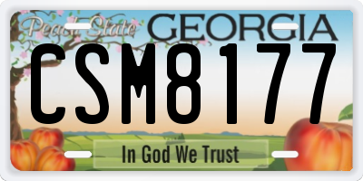 GA license plate CSM8177