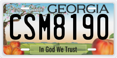 GA license plate CSM8190