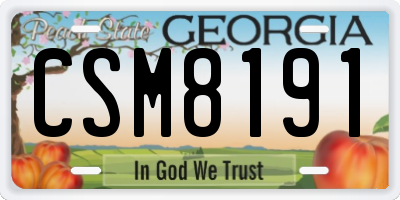GA license plate CSM8191