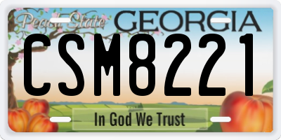 GA license plate CSM8221