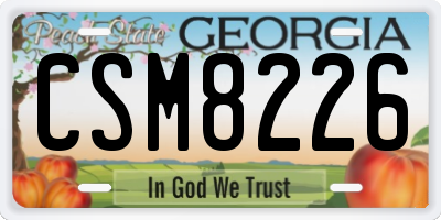 GA license plate CSM8226