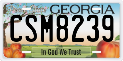 GA license plate CSM8239
