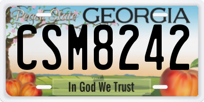 GA license plate CSM8242