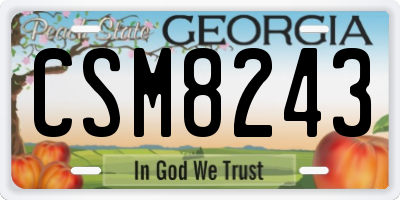 GA license plate CSM8243