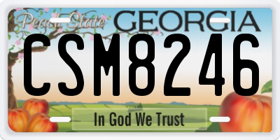 GA license plate CSM8246