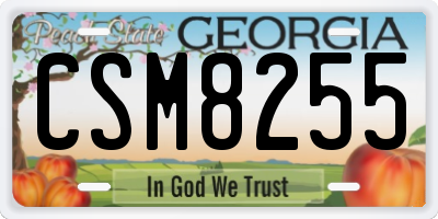 GA license plate CSM8255