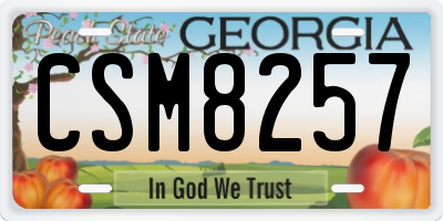 GA license plate CSM8257